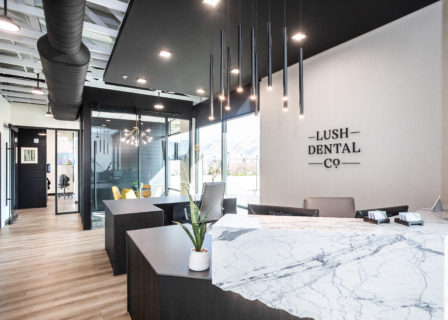 Lush Dental Co. Slide 2 Image